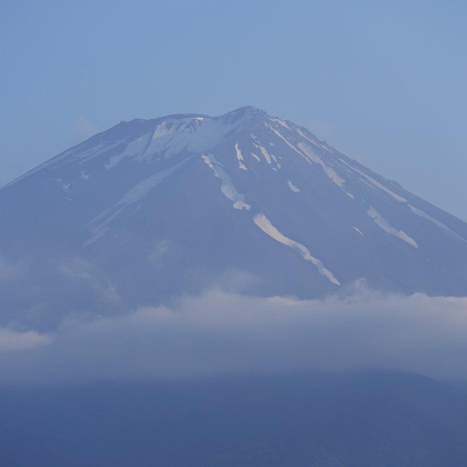 An AI simulation of a Mount Fuji eruption is being used to prepare Tokyo for the worst
